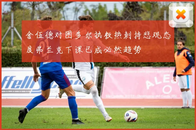 舍伍德对图多尔执教热刺持悲观态度弗兰克下课已成必然趋势